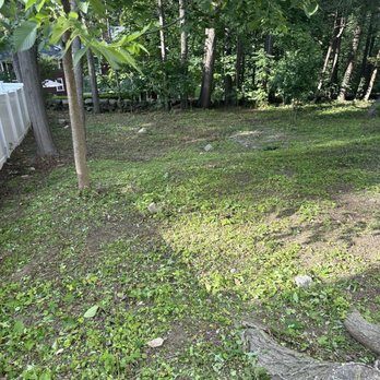 Erick Landscaping - An outdoor backyard area with a grassy and slightly sloped terrain, dotted with small rocks and patches of greenery. Several trees are present, providing shade and a natural border along the wooded area in the background. A white fence runs along the left side of the yard, and the scene is illuminated by natural sunlight, creating a peaceful outdoor space. - Snow Removal Near Me