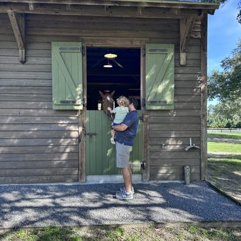 The Stables at Frederica - Horseback Riding Near Me - St. Simons, Georgia The Stables at Frederica - Horseback Riding Near Me - St. Simons, Georgia