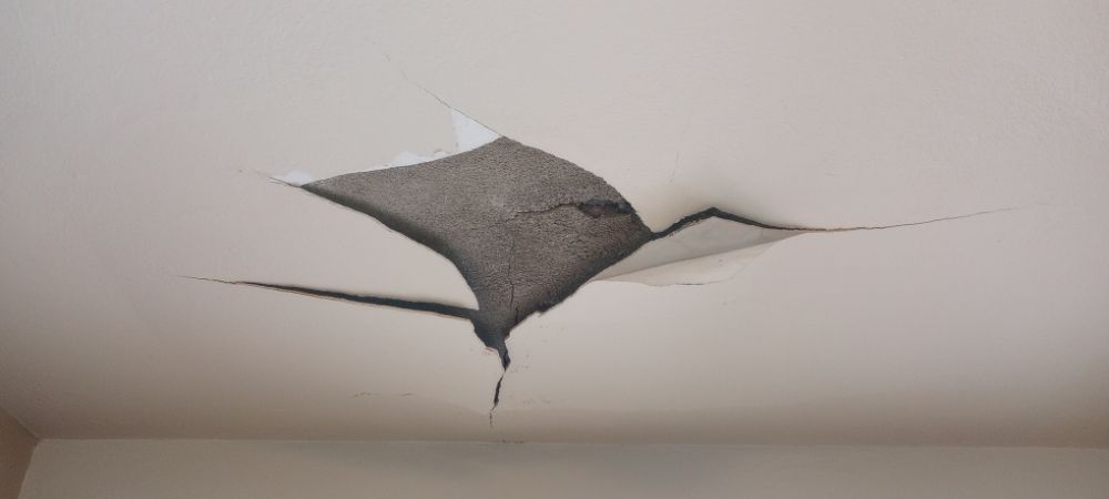 Slide of Steve's Handyman Service