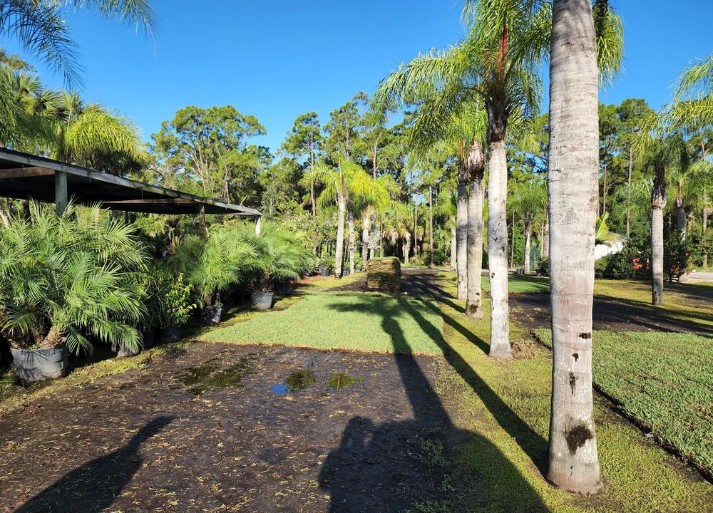 CW WILLIS FAMILY FARMS 43 Photos & 17 Reviews 3700 9th St SW, Vero