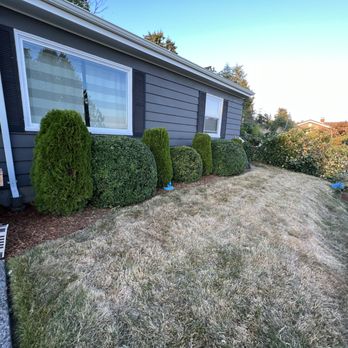 Gomez landscaping - the front yard of a house - Lawn Services Near Me