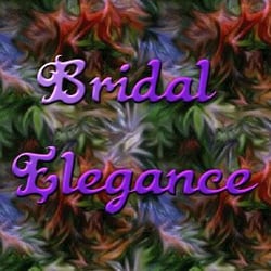 Bridal Elegance - Bridal Elegance