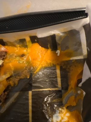 Tinga Tacos by null