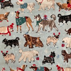 Dillard's - Cute holiday doggy pj bottoms (Nov 2019)