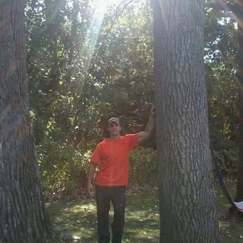 Top Flight Tree Removal - Tree Services Near Me - Saginaw, Michigan Top Flight Tree Removal - Tree Services Near Me - Saginaw, Michigan