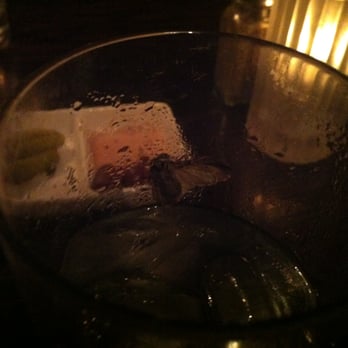 Edendale - My glass of water with a MOTH in it last night at Edendale. - New American Near Me - Los Angeles, California Edendale - My glass of water with a MOTH in it last night at Edendale. - New American Near Me - Los Angeles, California