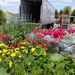 4 Seasons Garden Center