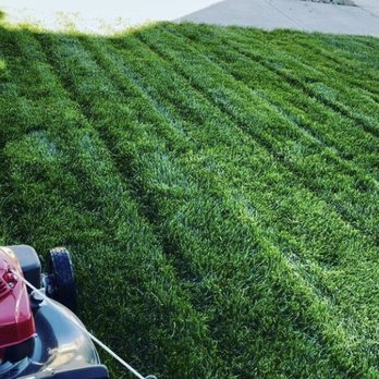 Murphy’s Lawn Maintenance - Lawn mowing - Lawn Services Near Me - Colorado Springs, Colorado Murphy’s Lawn Maintenance - Lawn mowing - Lawn Services Near Me - Colorado Springs, Colorado