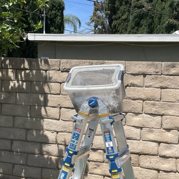 Bee Removal - Queen Captured - Pest Control Near Me Bee Removal - Queen Captured - Pest Control Near Me