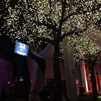 Parq - Very gorgeous and relaxing, dimmed light and pretty empty when we got there (around 7 PM) - New American Near Me - San Diego, California