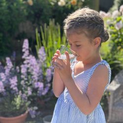 Mermaid Water Solutions - Mermaid Water Solutions - Enjoy Clear, Clean Drinking Water