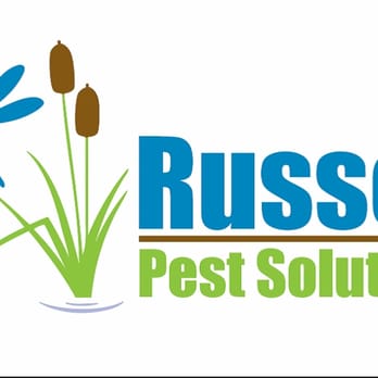 Russell Pest Solutions - Pest Control Near Me - Jacksonville Beach, Florida Russell Pest Solutions - Pest Control Near Me - Jacksonville Beach, Florida
