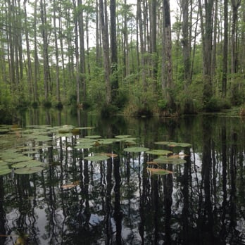 Cypress Gardens - Parks Near Me - Moncks Corner, South Carolina Cypress Gardens - Parks Near Me - Moncks Corner, South Carolina
