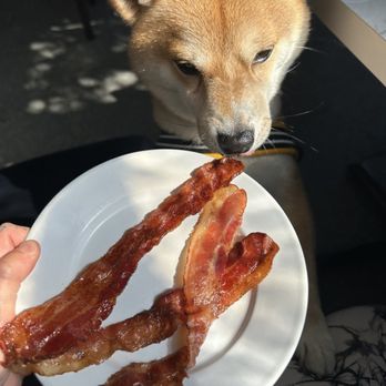 Grande Station - Bacon For the boi - American Near Me - Littleton, Colorado