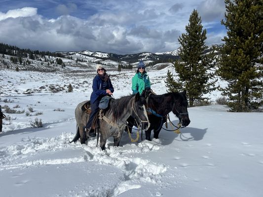 Jake's Horses Inc. by null