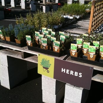 Graham's Garden Market - Variety of herbs - Nurseries & Gardening Near Me - Pleasanton, California Graham's Garden Market - Variety of herbs - Nurseries & Gardening Near Me - Pleasanton, California