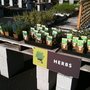 Photo of Graham's Garden Market