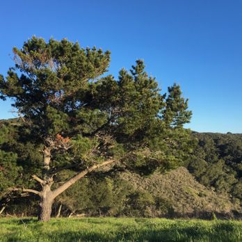Vista Point - Local Flavor Near Me - Belmont, California Vista Point - Local Flavor Near Me - Belmont, California
