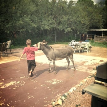 Lazy Dog Ranch - Bed & Breakfast Near Me - Sierra Vista, Arizona Lazy Dog Ranch - Bed & Breakfast Near Me - Sierra Vista, Arizona