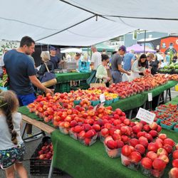 Summit Farmers Market - Market