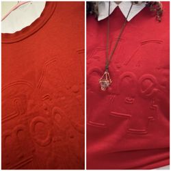 Pooler's Best Dry Cleaners - Comparison photo of original versus returned damaged sweatshirt