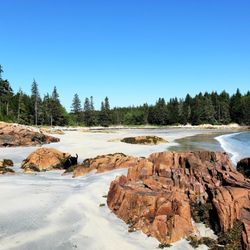 Deer Isle Ocean Tours - Marshall Island Picnic