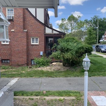 Stringfellow's Tree Service - Tree completely gone. Great work. - Tree Services Near Me - Amissville, Virginia