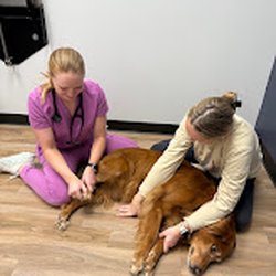 Fish Creek Animal Hospital - Identifying a torn ACL