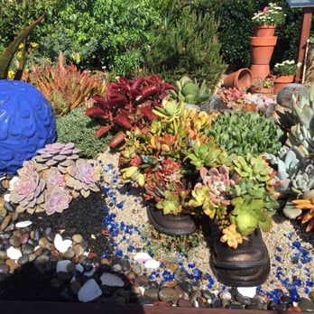 The Flower Fields - Succulent garden - Venues & Event Spaces Near Me - Carlsbad, California