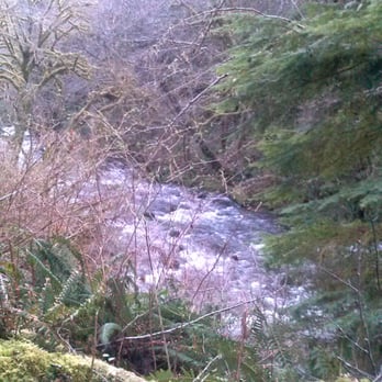 Sweet creek trail - Hiking Near Me - Mapleton, Oregon Sweet creek trail - Hiking Near Me - Mapleton, Oregon