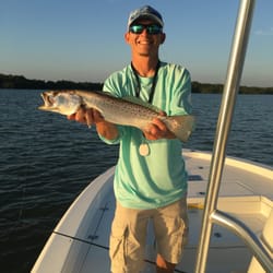 Fish Southwest Fl