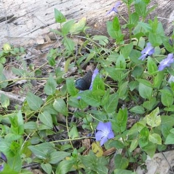 South Yuba River State Park - Parks Near Me - Penn Valley, California