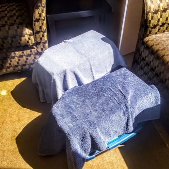 San Diego Humane Society - Staff thoughtfully provided towels for the cat carriers without being asked - Animal Shelters Near Me - Oceanside, California San Diego Humane Society - Staff thoughtfully provided towels for the cat carriers without being asked - Animal Shelters Near Me - Oceanside, California