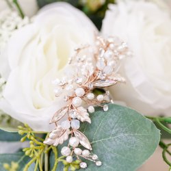 The Brides World & Tux World