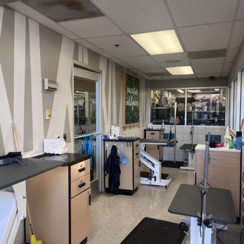Petco - Pet Stores Near Me - San Jose, California