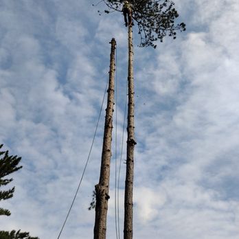 Lainez R Tree Service - Tree Services Near Me Lainez R Tree Service - Tree Services Near Me
