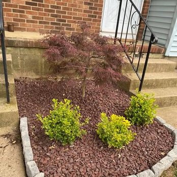 Sanchez Landscaping - a small tree in a flower bed - Landscaping Near Me - Jamesburg, New Jersey Sanchez Landscaping - a small tree in a flower bed - Landscaping Near Me - Jamesburg, New Jersey