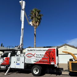 By Faith Landscaping - By Faith Landscaping bucket truck begins to cut down a palm tree.