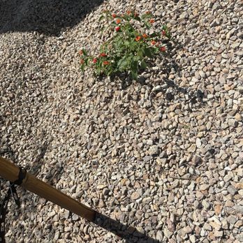 Vegas Landscaping Services - Gardeners Near Me - Las Vegas, Nevada