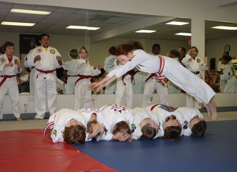 Aamerican Colleges of Jiu-Jitsu and Karate - childcare center in Richmond, VA