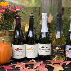 Mount Diablo Cider Company - Mount Diablo Cider Company current ciders fall 2023