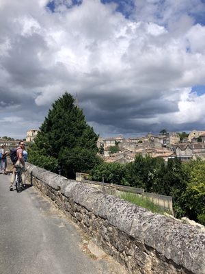Bordeaux Wine Trails - Wine tours by null
