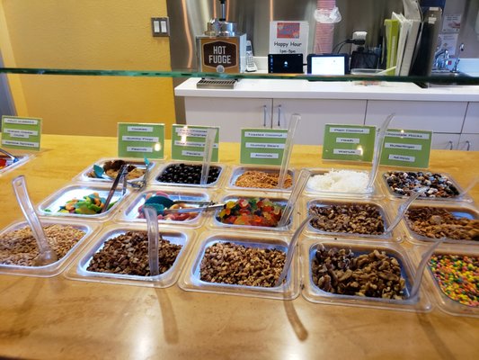 YOGURT JUNGLE - Updated August 2024 - 51 Photos & 118 Reviews - 21101 N