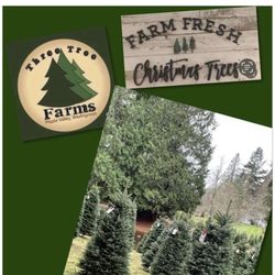 Three Tree Farms