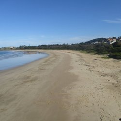 Jetty Beach - Beach