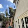 Photo of Martins Window Cleaning