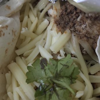 Poco Loco Tacos - Eggs growing on cilantro....Gross - Mexican Near Me - Cranston, Rhode Island