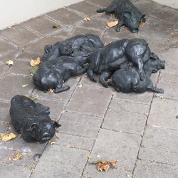 Peaceable Kingdom, by Tom Dean
