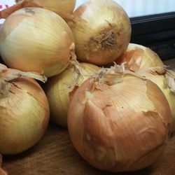 Dog Me Out - Getting ready to make my famous HOMEMADE Onions