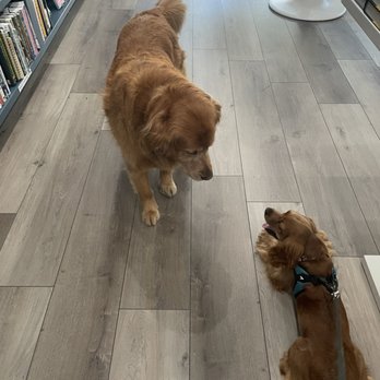 Ruby’s Books - Ruby! - Bookstores Near Me - Folsom, California